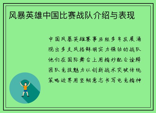 风暴英雄中国比赛战队介绍与表现
